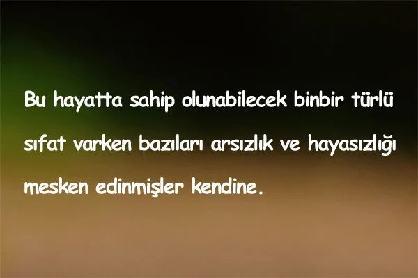 Görgüsüz insanlara kapak sözler